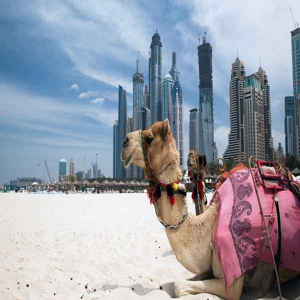 Dubai City and Stopover Packages