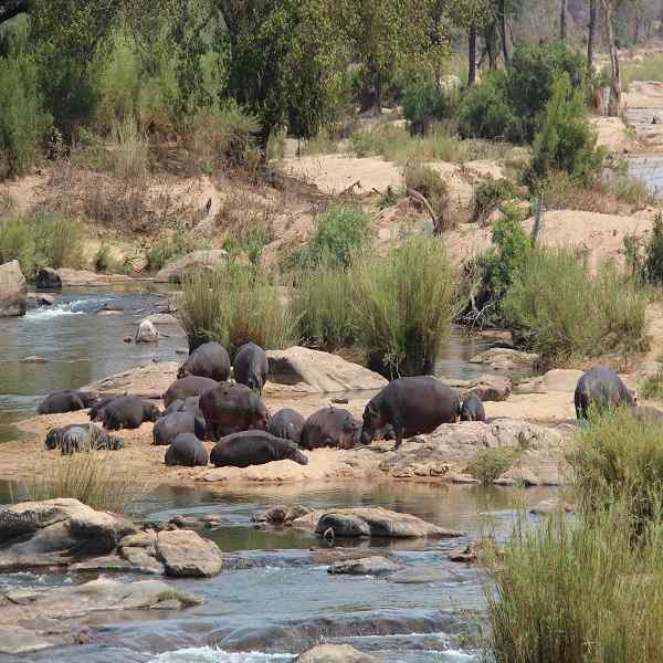 Classic Cape Town and Safari