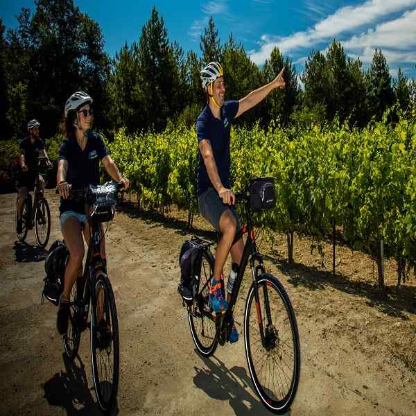 Provence Classic Cycling Tour